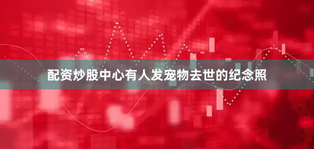 配资炒股中心有人发宠物去世的纪念照