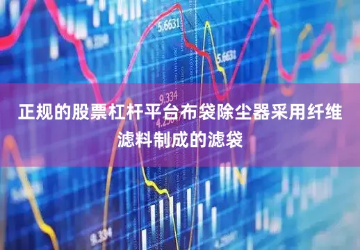 正规的股票杠杆平台布袋除尘器采用纤维滤料制成的滤袋