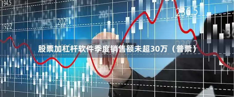 股票加杠杆软件季度销售额未超30万（普票）