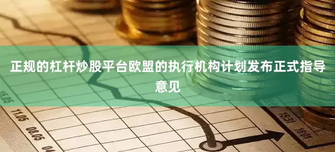 正规的杠杆炒股平台欧盟的执行机构计划发布正式指导意见
