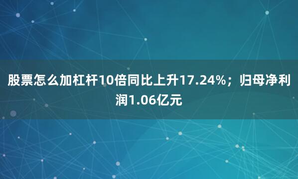 股票怎么加杠杆10倍同比上升17.24%；归母净利润1.06亿元