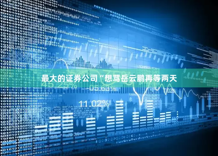 最大的证券公司“想骂岳云鹏再等两天