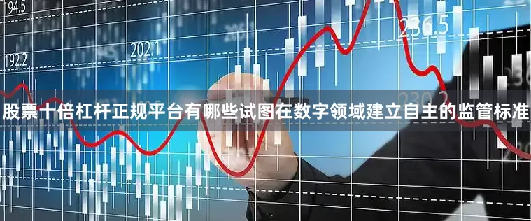 股票十倍杠杆正规平台有哪些试图在数字领域建立自主的监管标准
